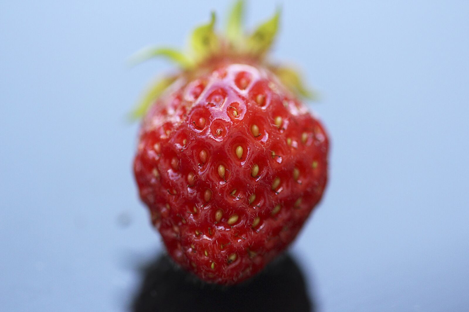 Canon EOS 700D (EOS Rebel T5i / EOS Kiss X7i) sample photo. Strawberry, fruit, red photography