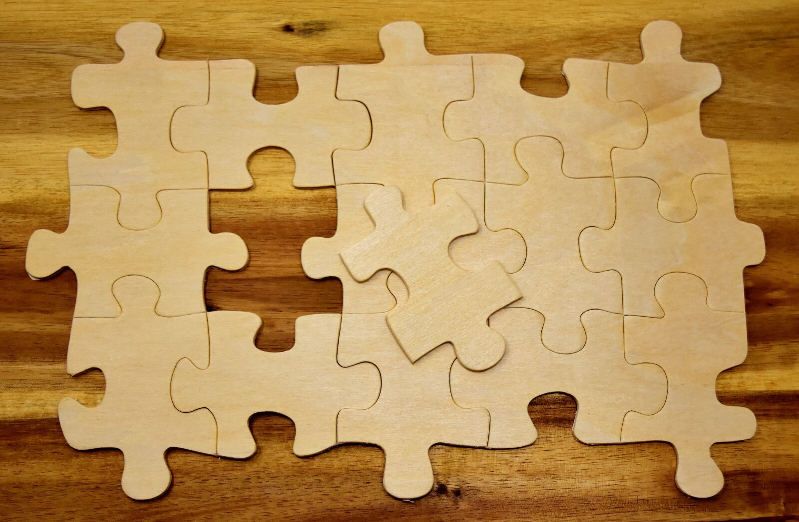 Nikon D7200 sample photo. Puzzle, last part, joining photography