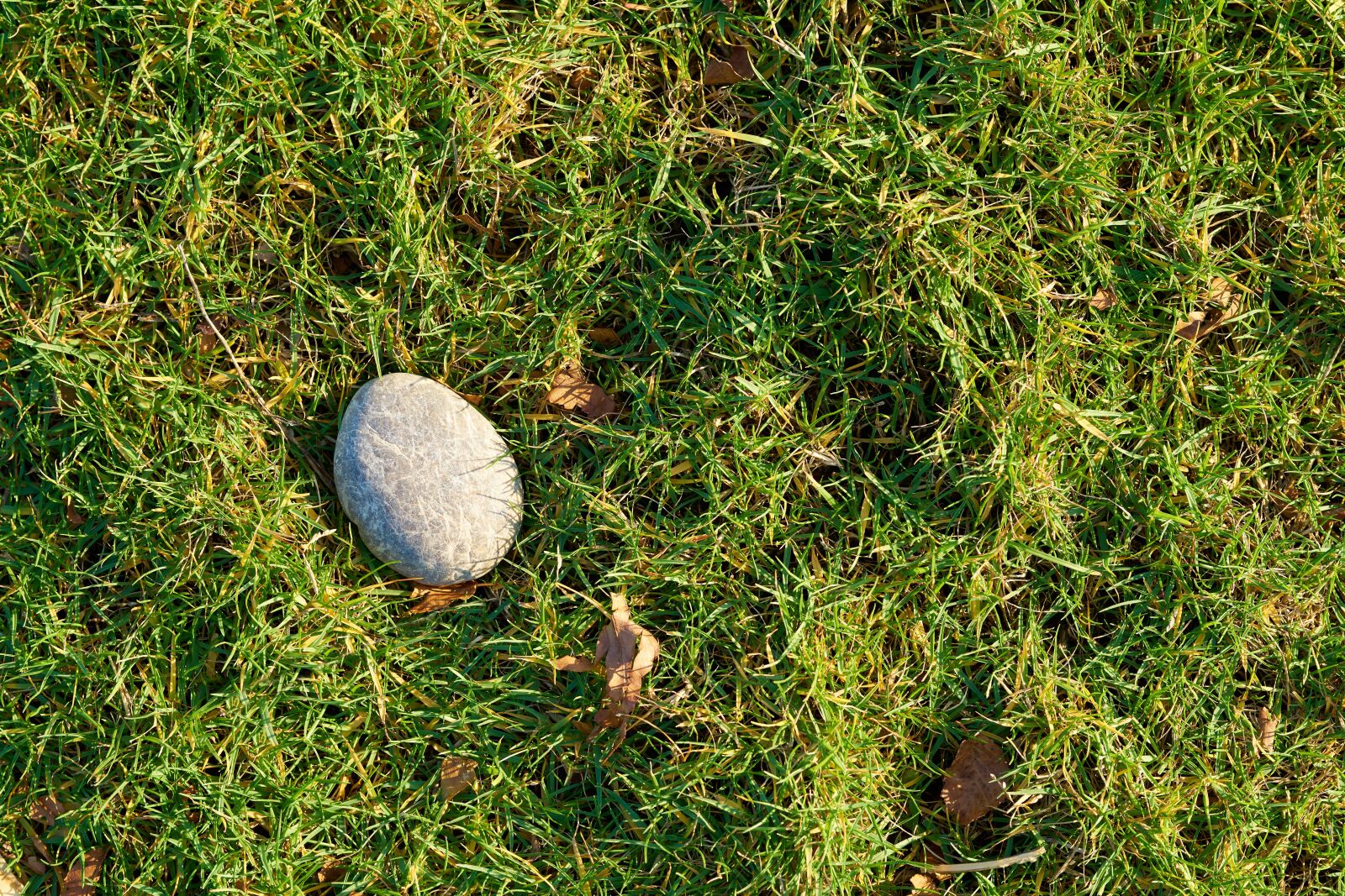Sigma 85mm F1.4 DG HSM Art sample photo. Grass, stone, kennedy photography
