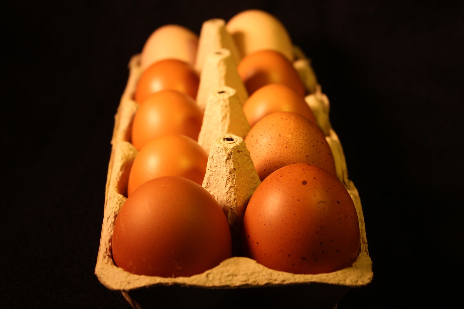 Canon EOS 700D (EOS Rebel T5i / EOS Kiss X7i) sample photo. Egg, food, delicious photography