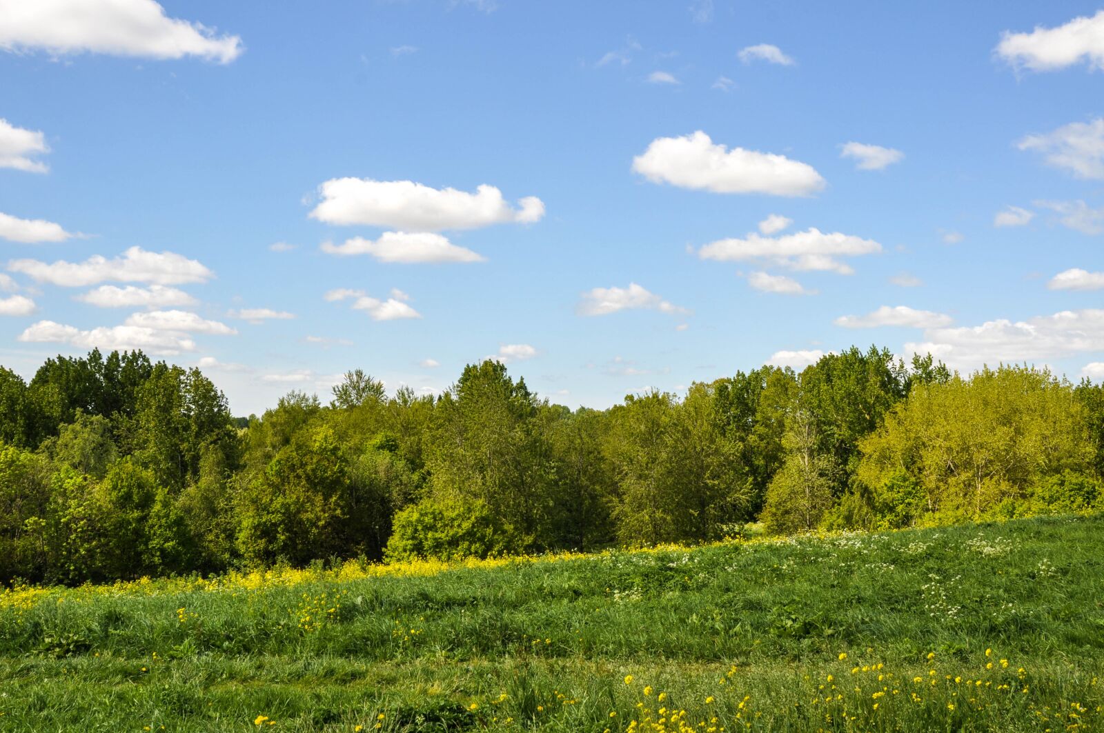 Nikon D90 sample photo. Clouds, trees, hill photography