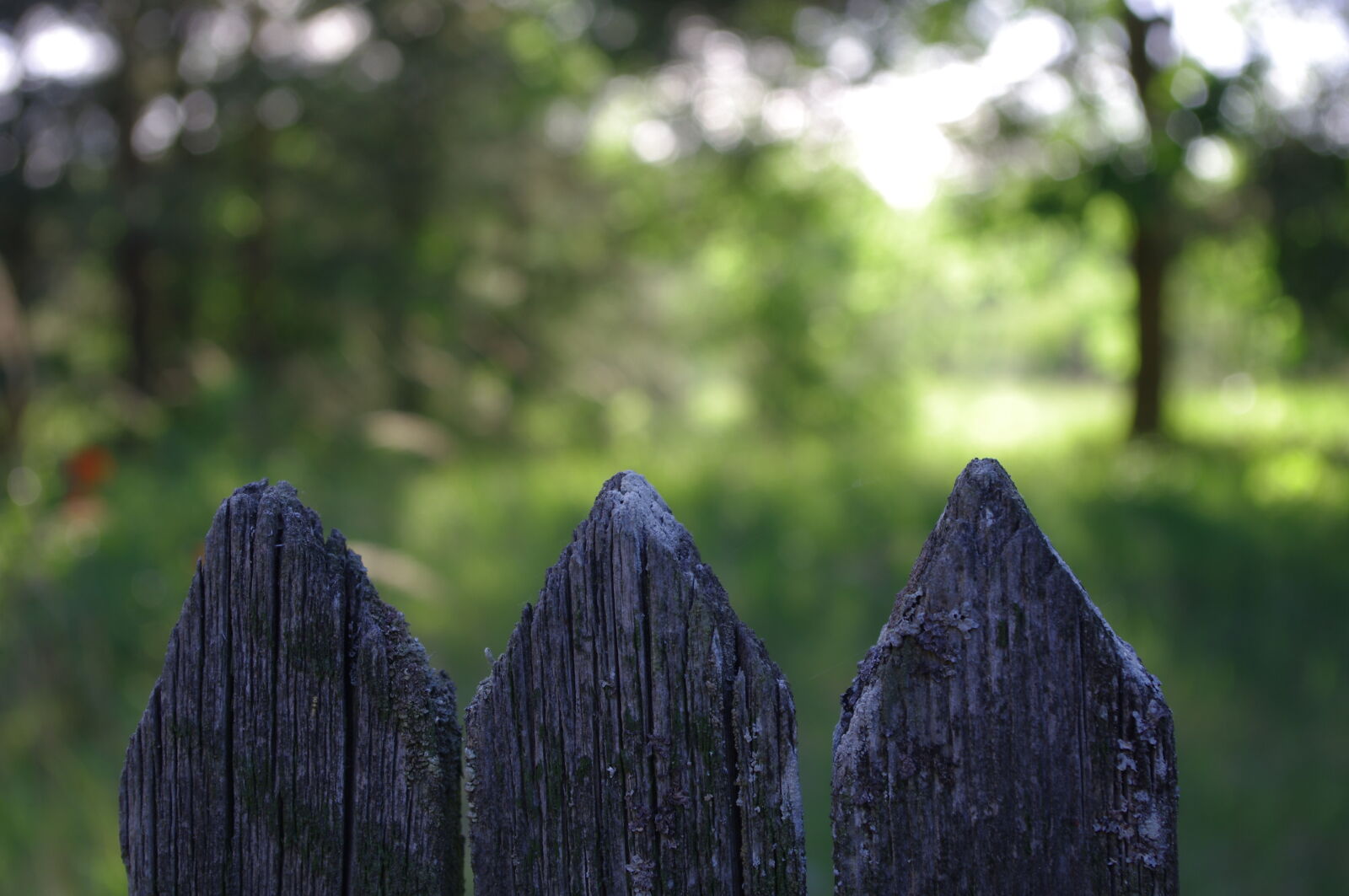 Pentax K-x sample photo. Bokeh, fence, wooden, fence photography