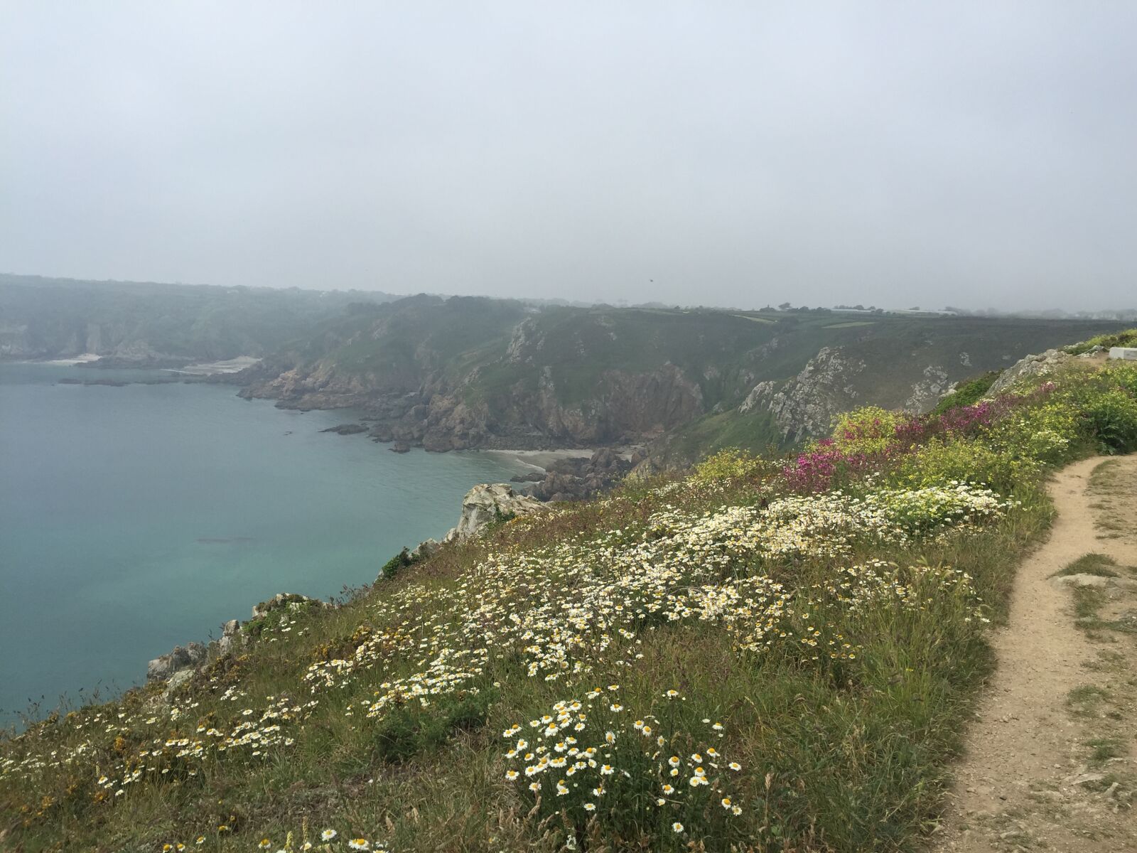 Apple iPhone 6 sample photo. Cliff, side, cliffs, flowers photography
