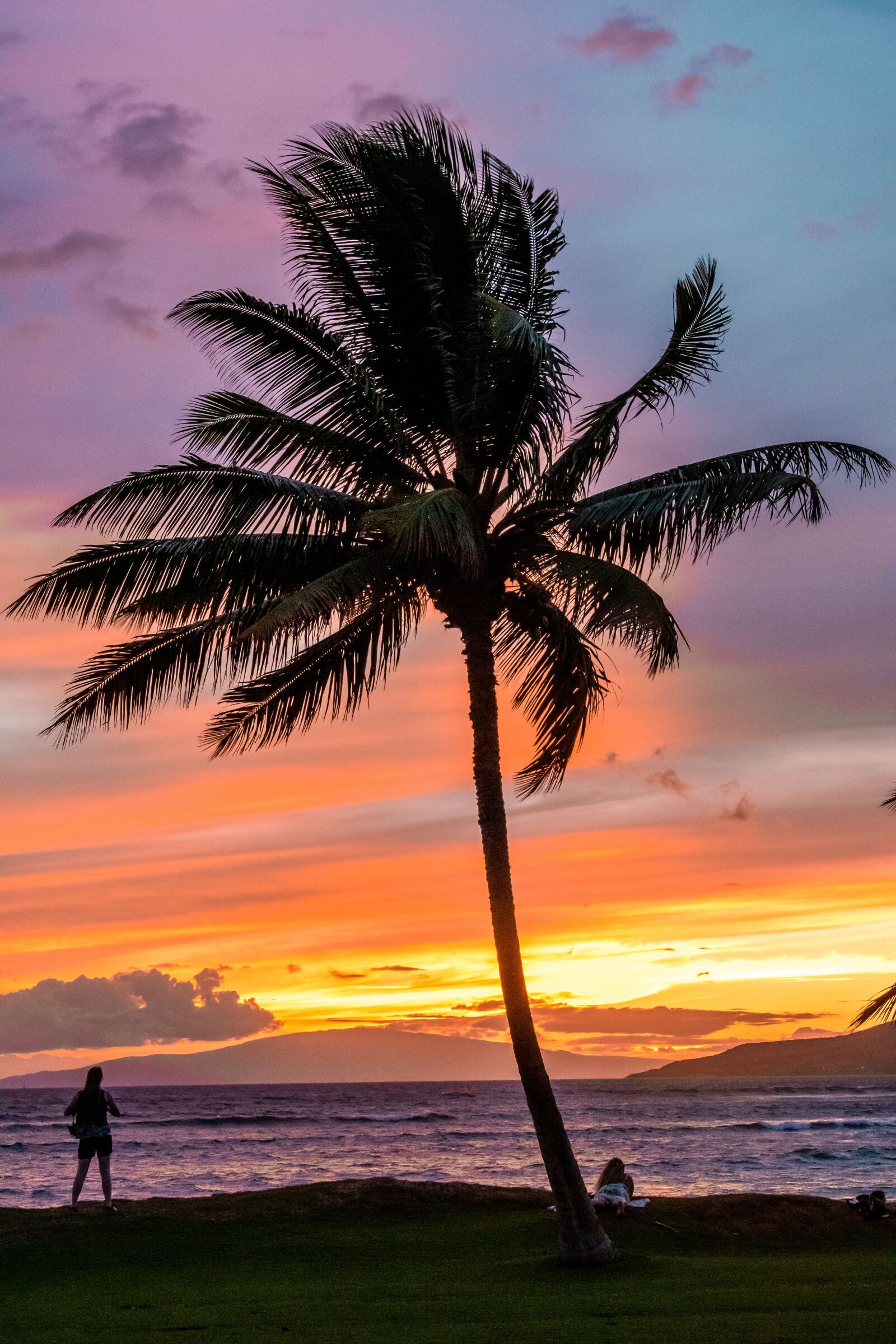 Nikon D7500 sample photo. Maui, hawaii, beach photography