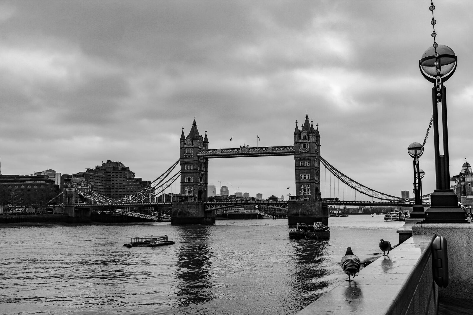 Canon EOS 600D (Rebel EOS T3i / EOS Kiss X5) sample photo. Bridge, waters, suspension bridge photography