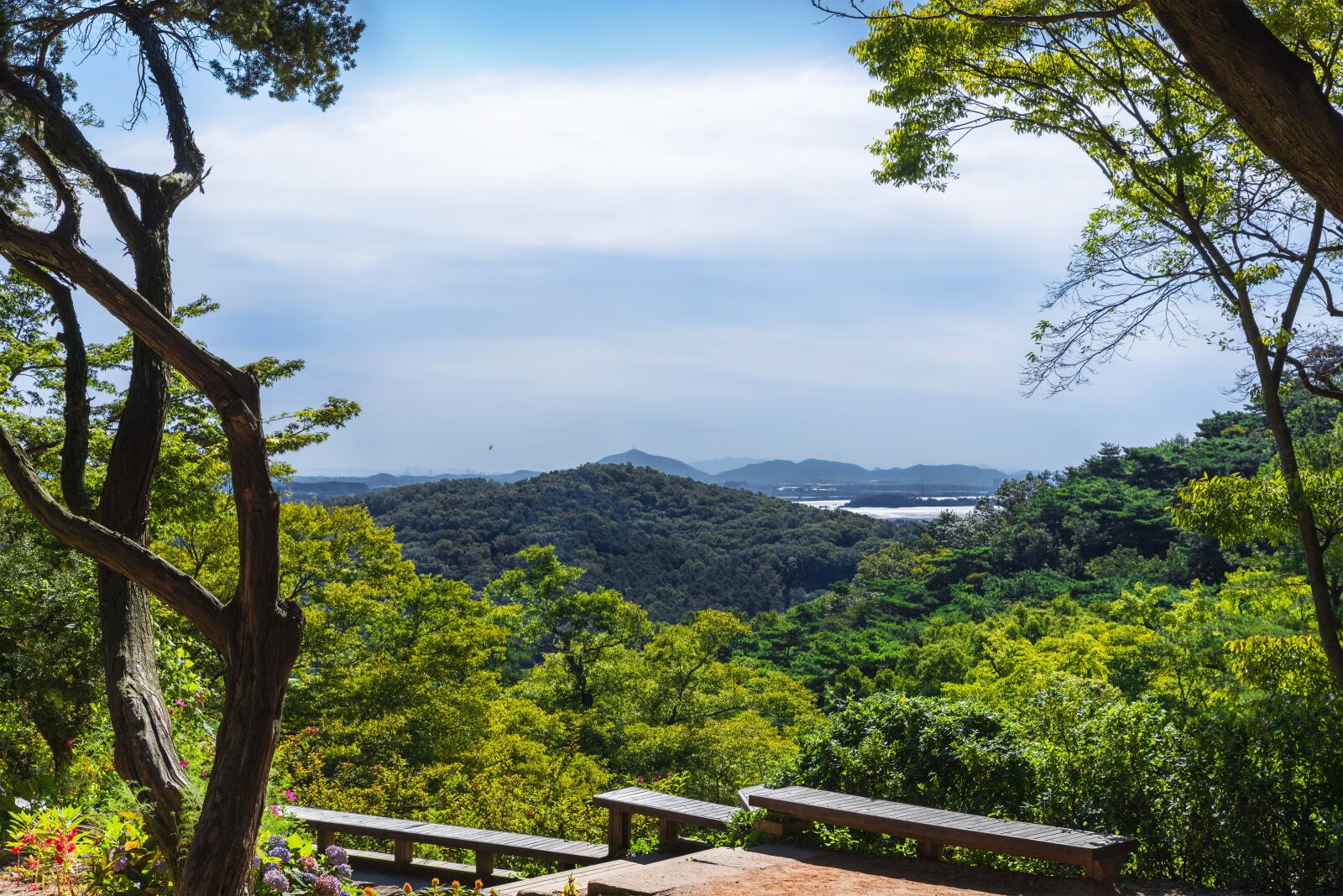Nikon D750 sample photo. Korea, incheon, ganghwado photography