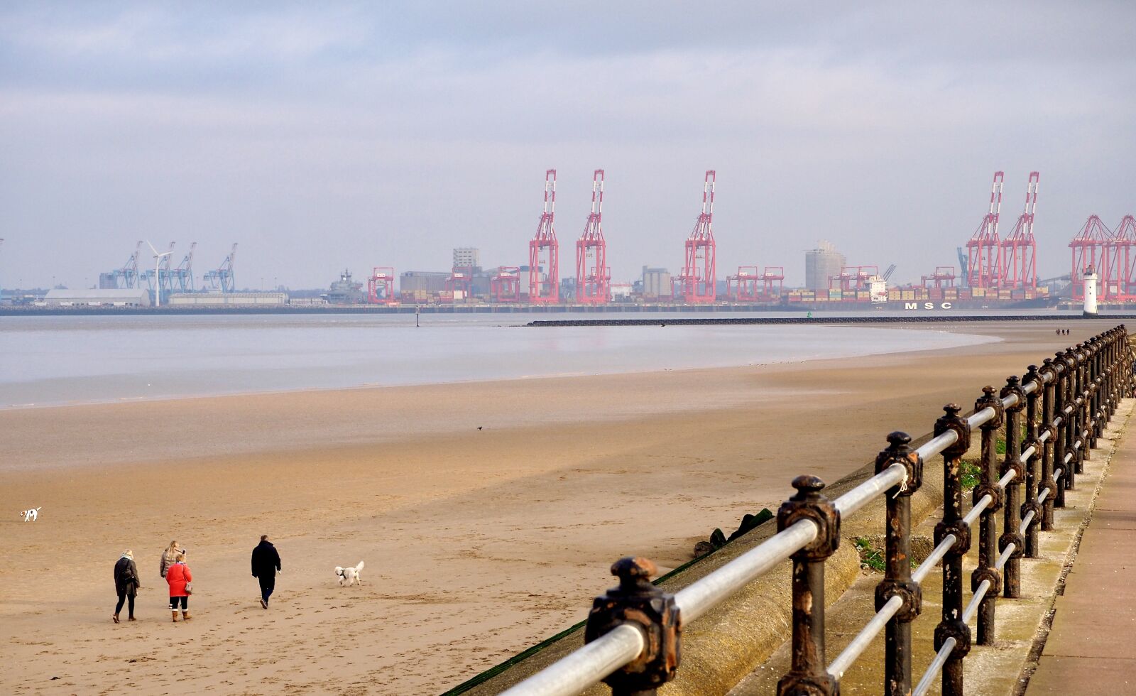 Olympus OM-D E-M10 II sample photo. Liverpool, merseyside, cranes photography