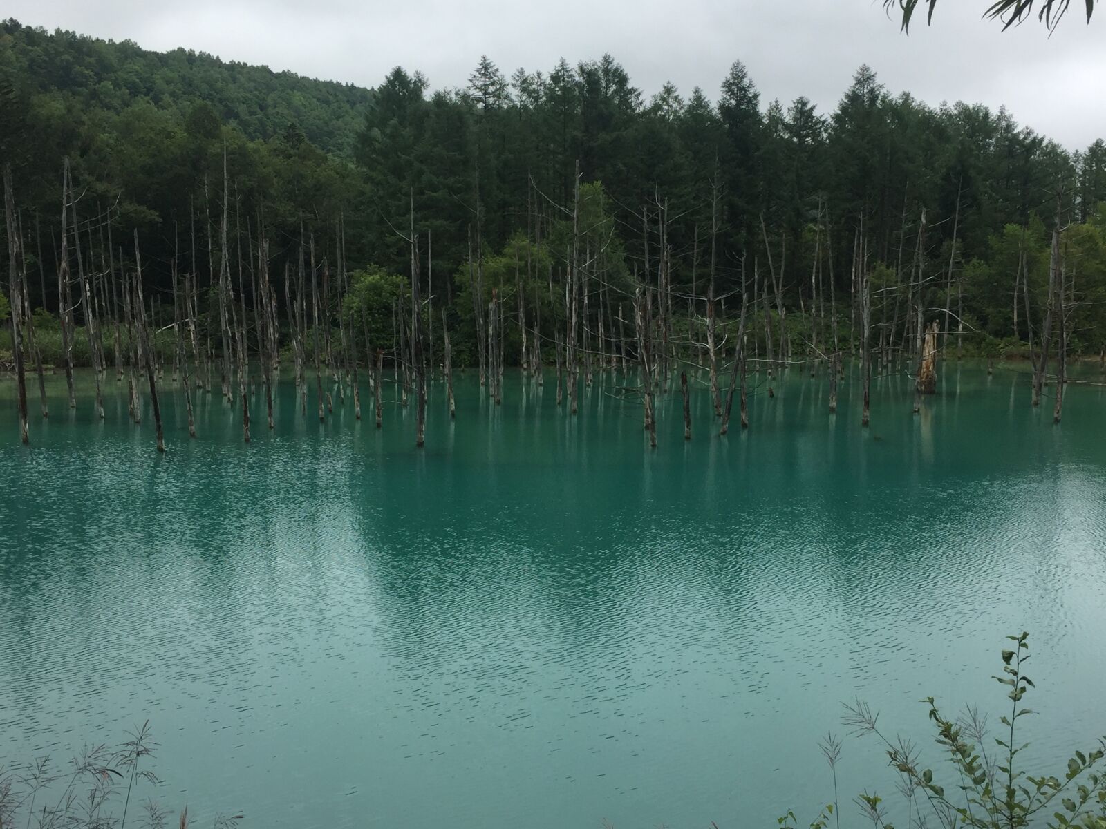 Apple iPhone 6 sample photo. North, sea, way photography