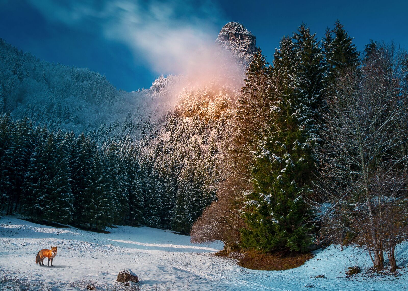 Sony a6000 sample photo. Winter, landscape, snow photography