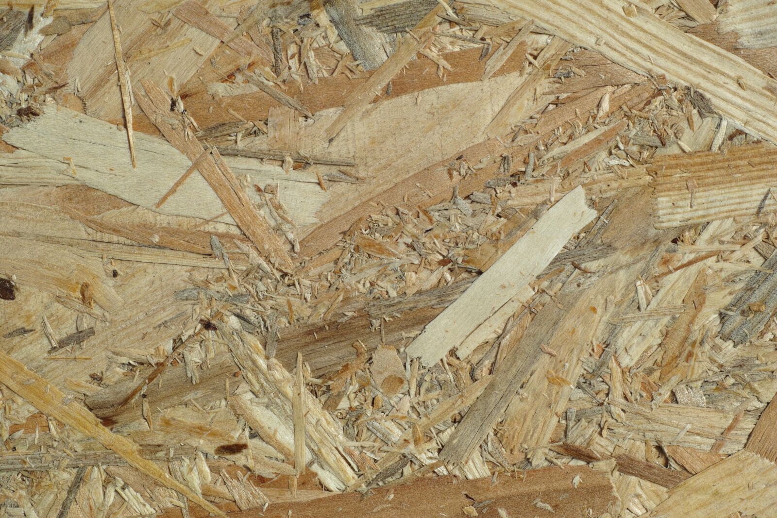 Sigma DP3 Merrill sample photo. Wood, old, pressure photography
