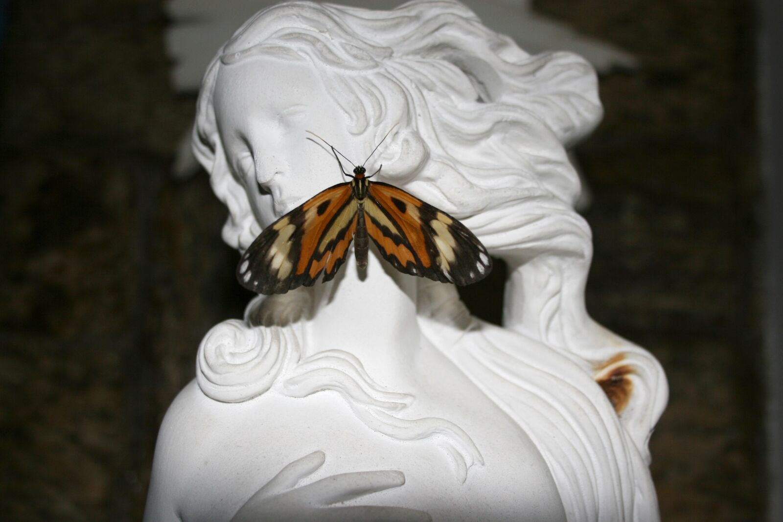 Canon EOS 30D sample photo. Statue, butterfly, face photography