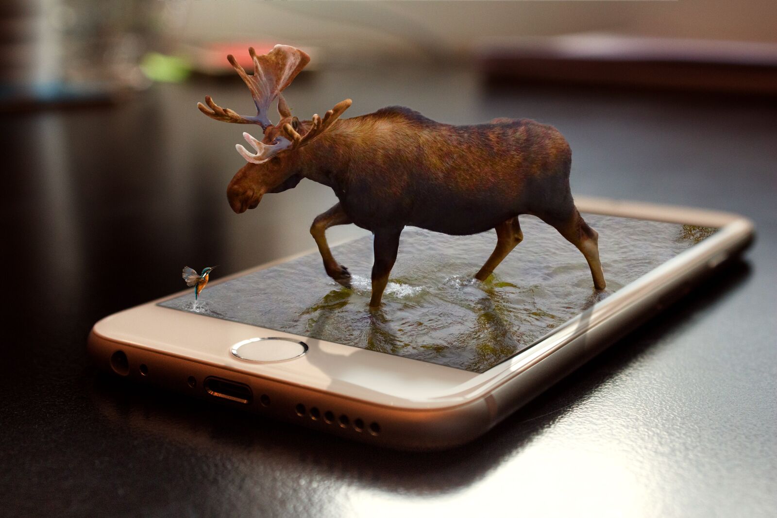 Canon EOS 650D (EOS Rebel T4i / EOS Kiss X6i) sample photo. Iphone, moose, retouch photography