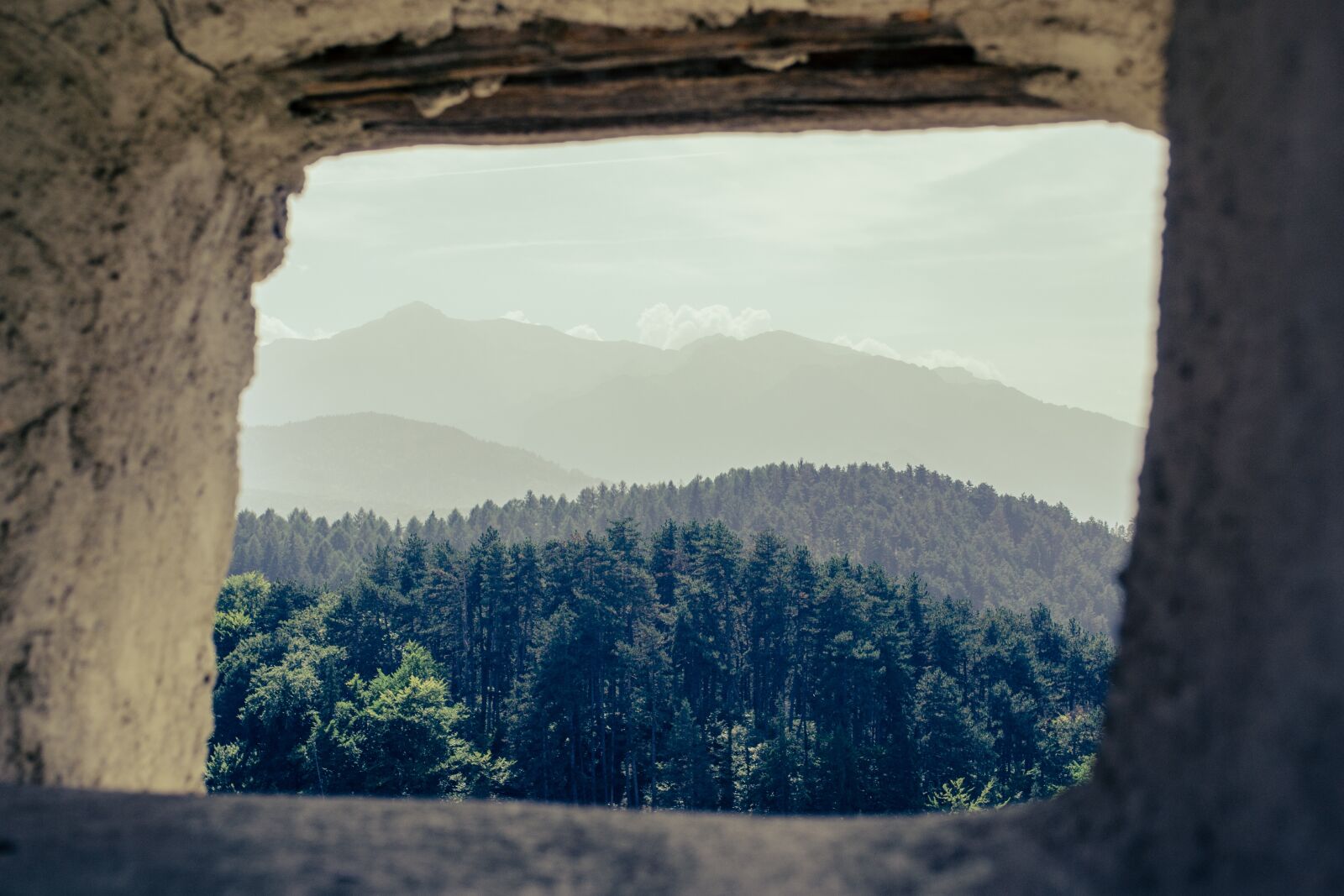 Nikon D3100 sample photo. City, architecture, nature photography