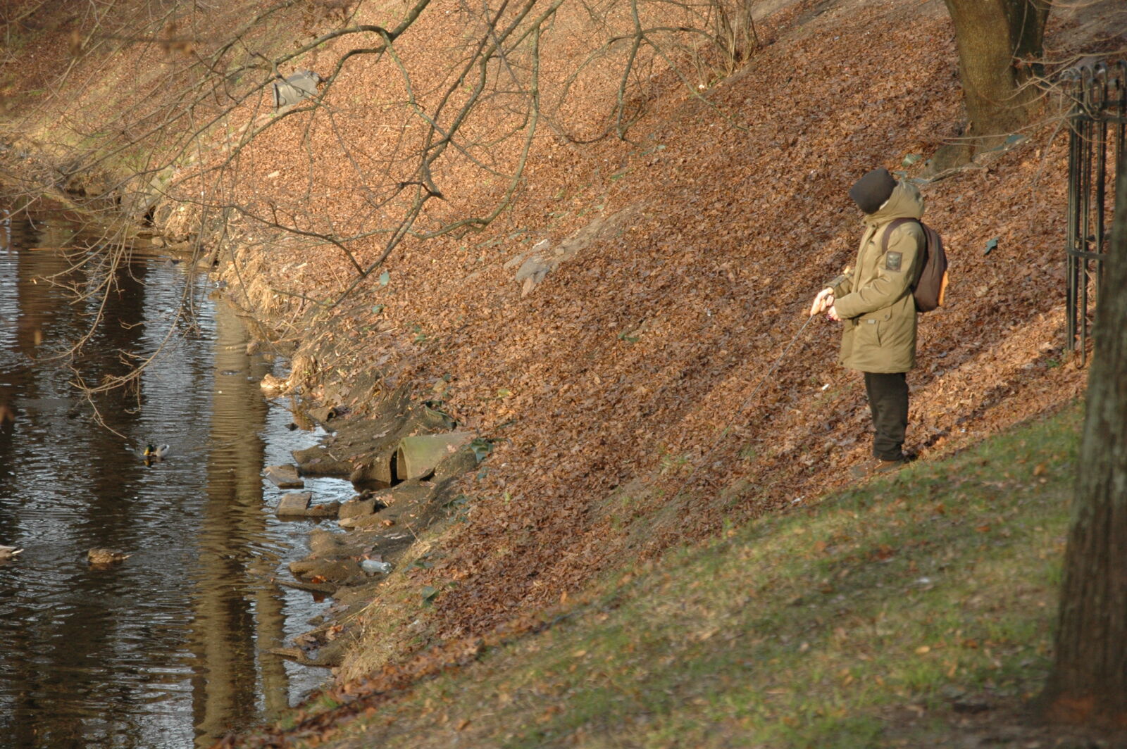 Nikon D70s sample photo