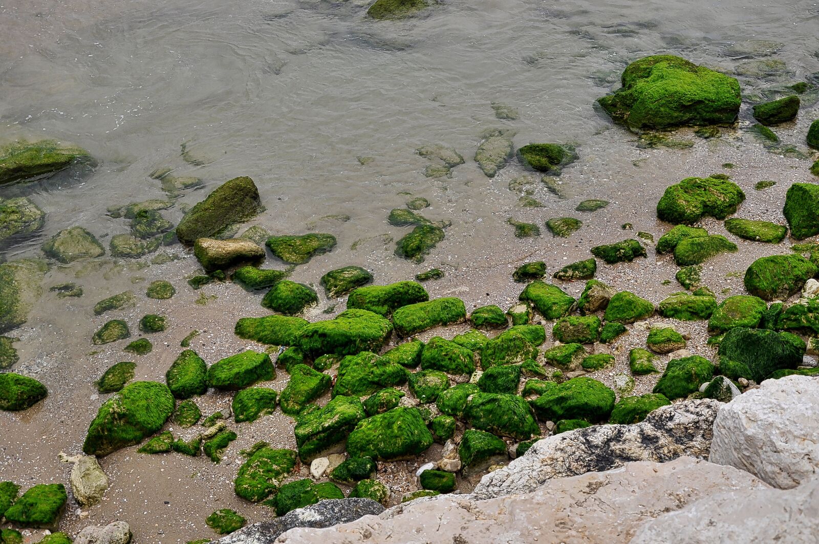 Nikon D5000 sample photo. Mediterranean, israel, sea photography
