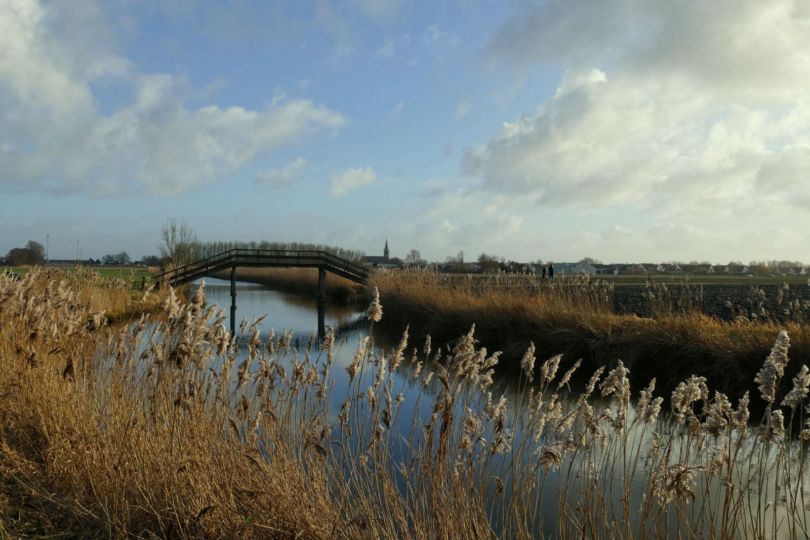 Panasonic Lumix DMC-FZ1000 sample photo. Countryside, bridge, reed photography