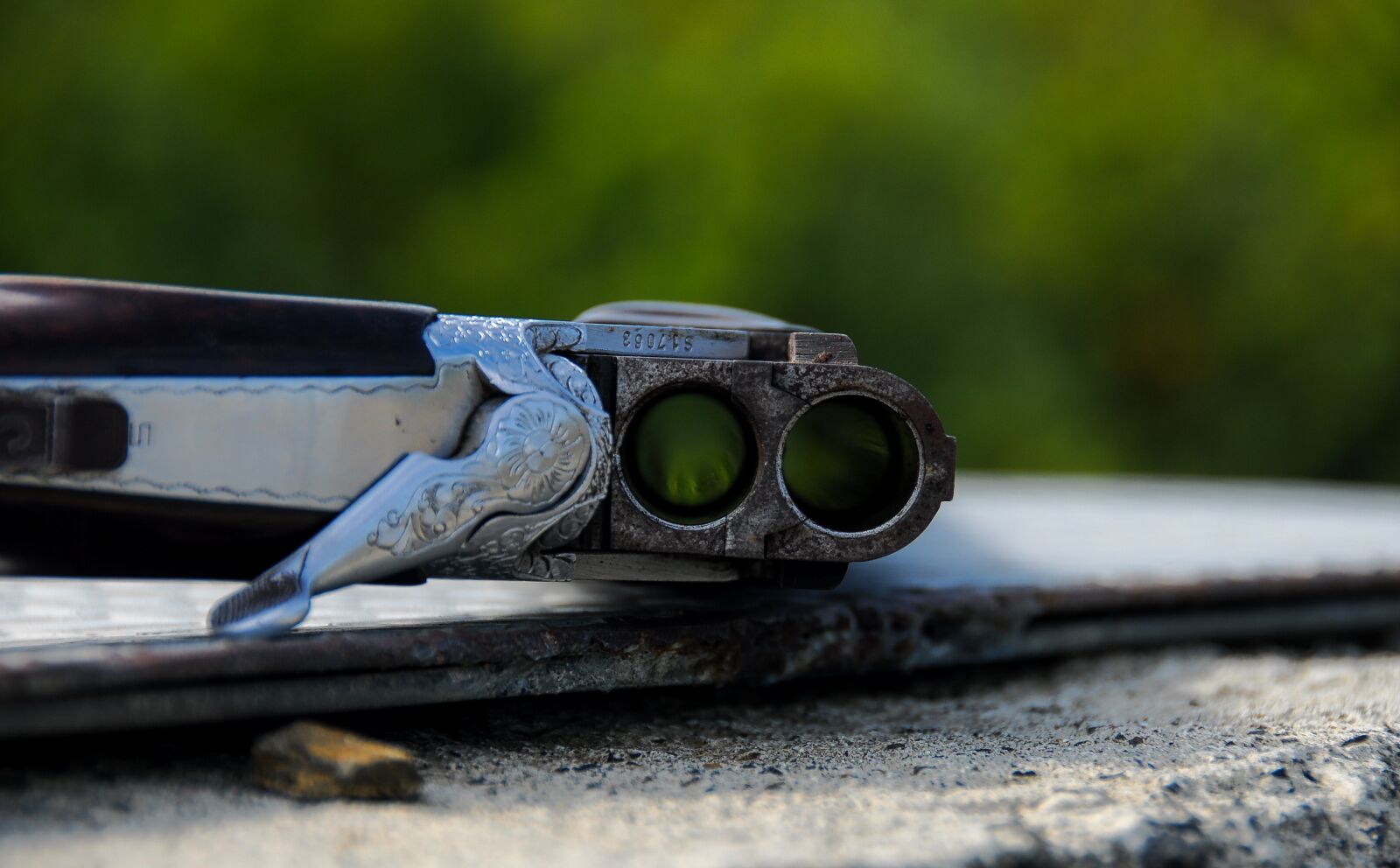 Nikon D200 sample photo. Rifle, gun, closeup photography