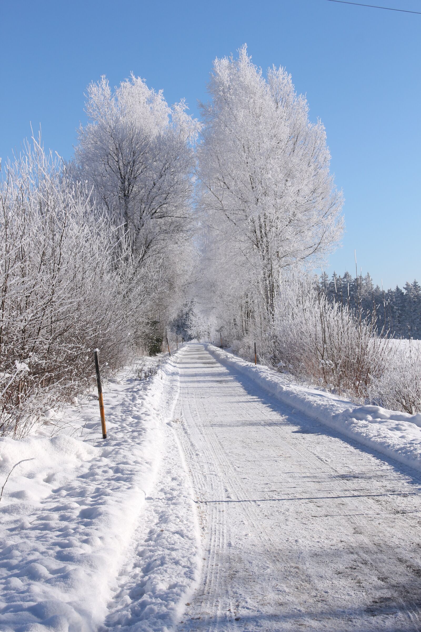 Canon EOS 700D (EOS Rebel T5i / EOS Kiss X7i) sample photo. Snow, winter, wintry photography