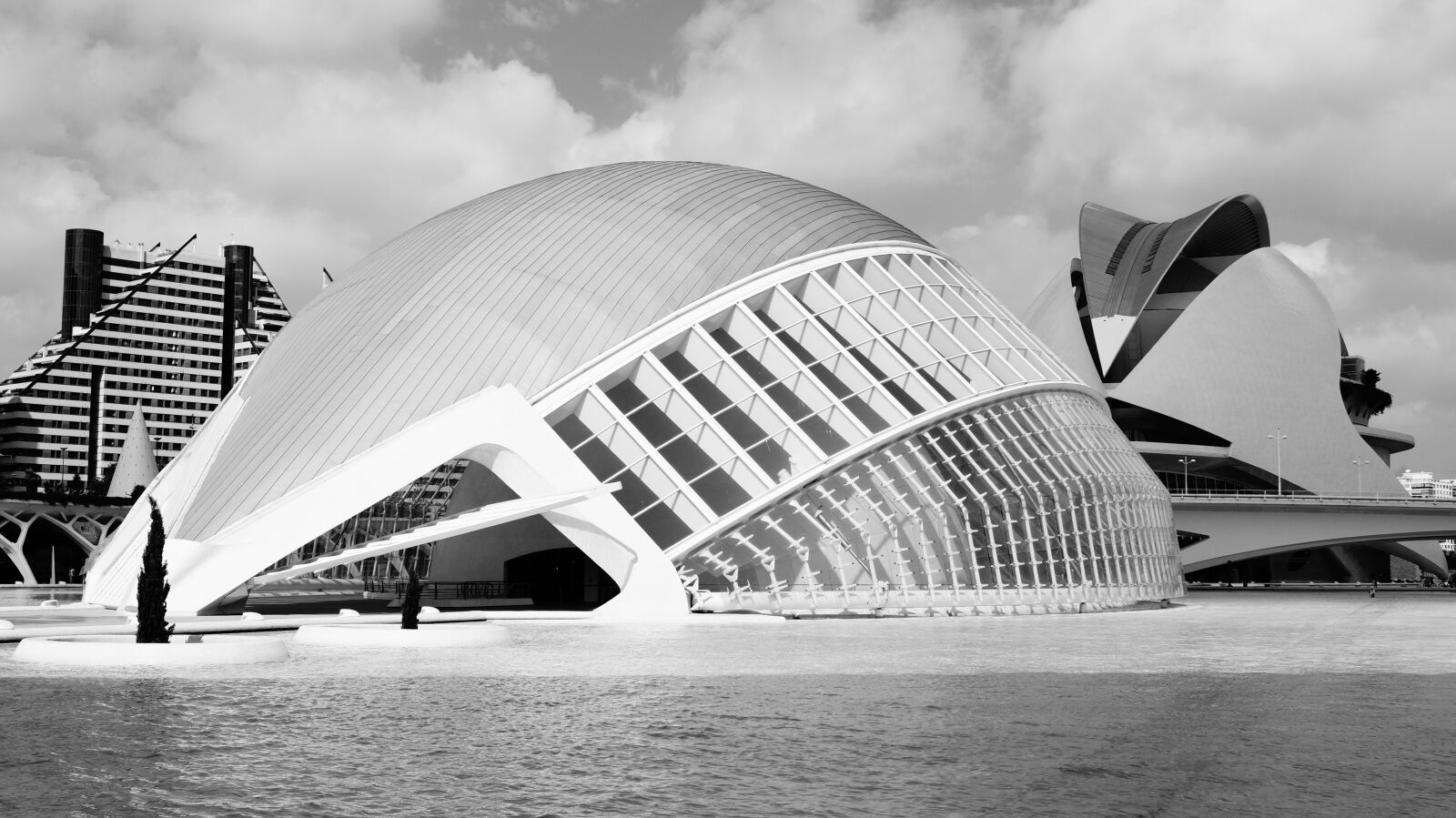 Sony DT 18-55mm F3.5-5.6 SAM II sample photo. Spain, valencia, black and photography