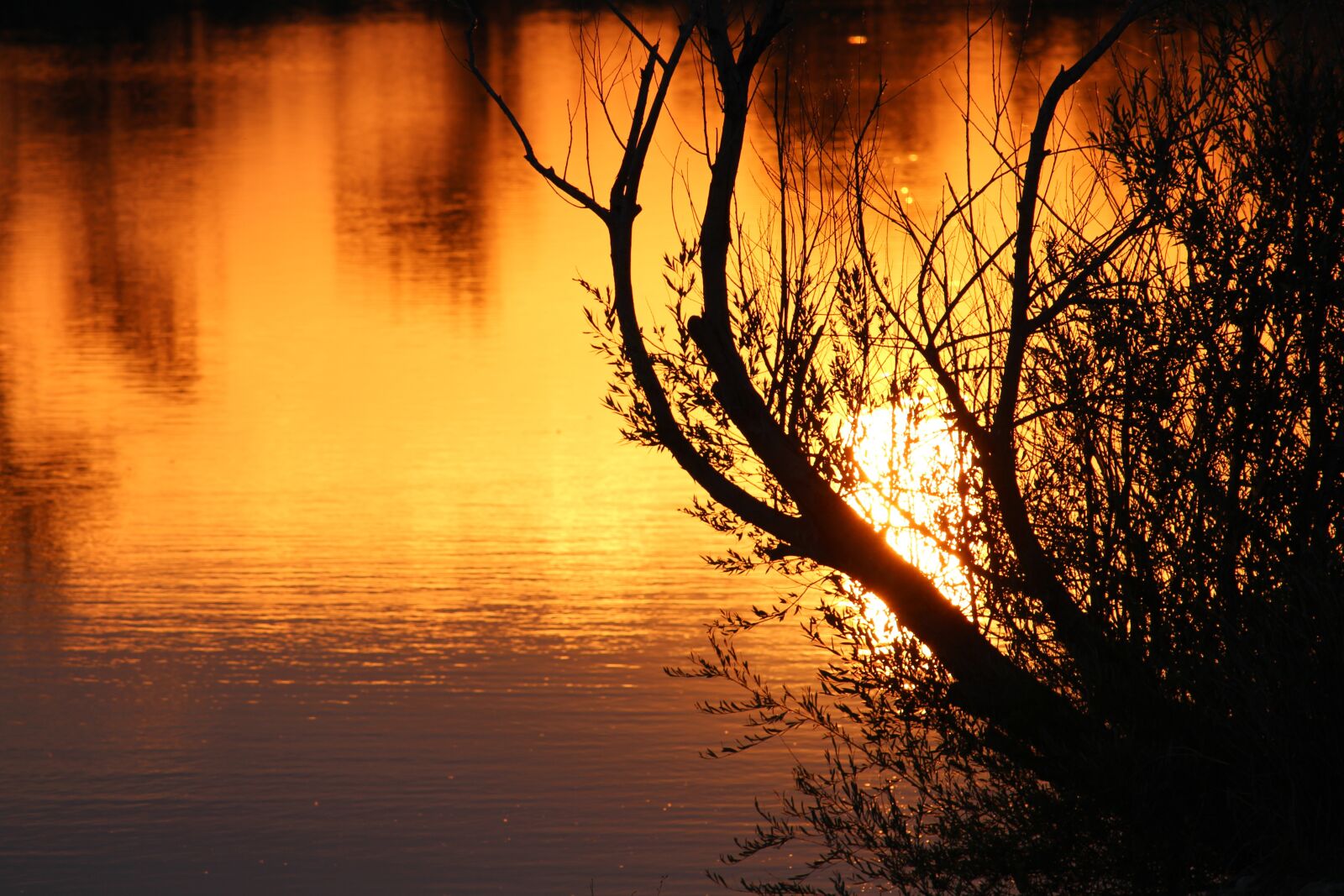 Canon EF-S 55-250mm F4-5.6 IS STM sample photo. Sunrise, lake, water photography