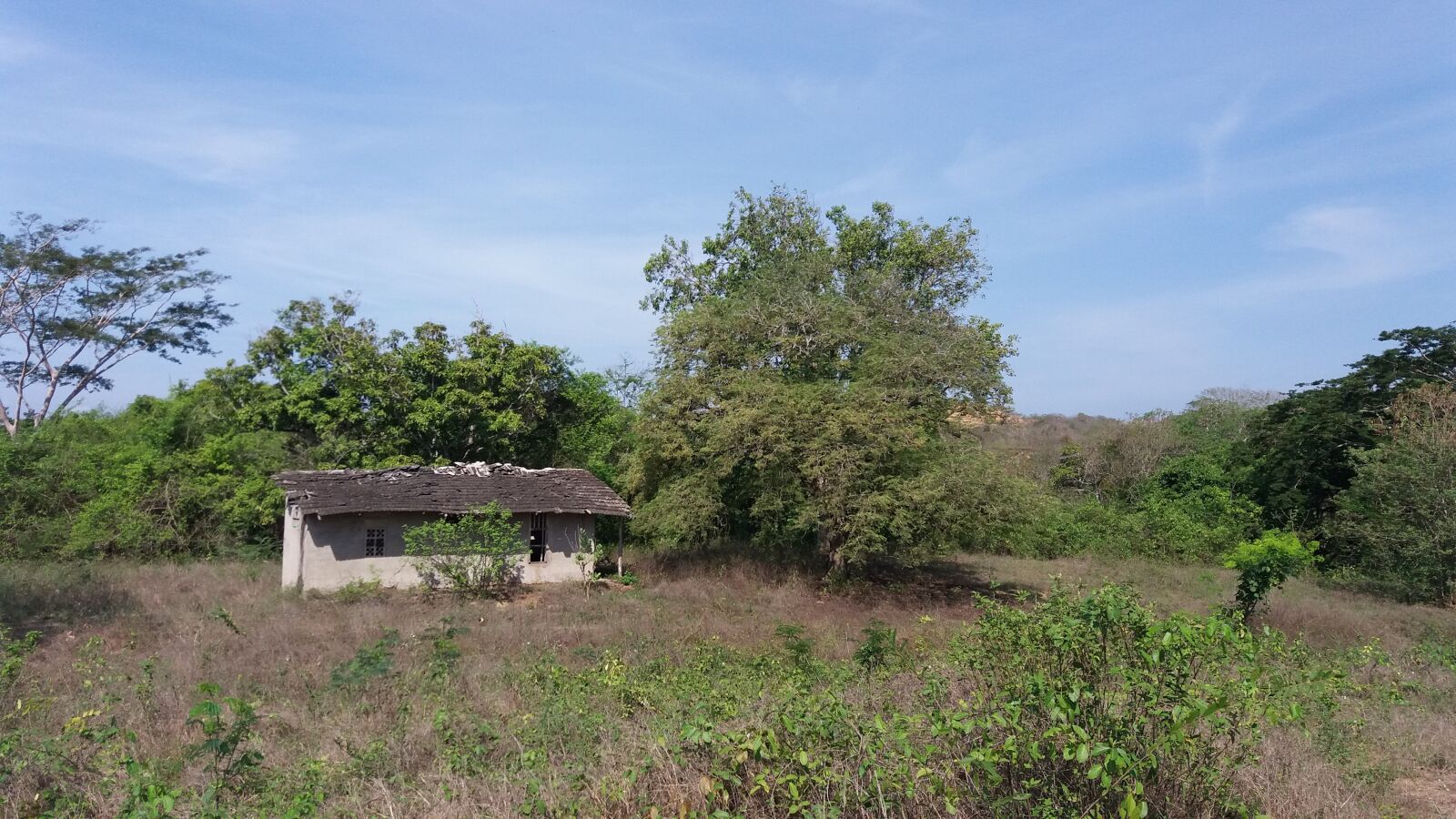 Samsung Galaxy J5 sample photo. House, landscape, tree photography