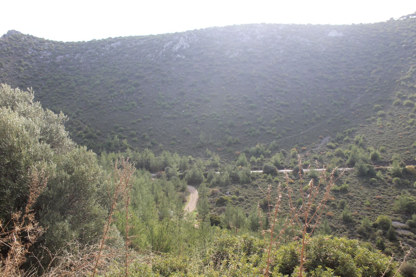 Canon EOS 1100D (EOS Rebel T3 / EOS Kiss X50) sample photo. North cyprus, nature, travel photography