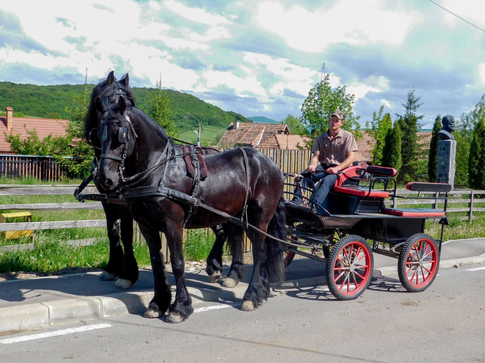 Nikon Coolpix L840 sample photo. Horses, auto, horse photography