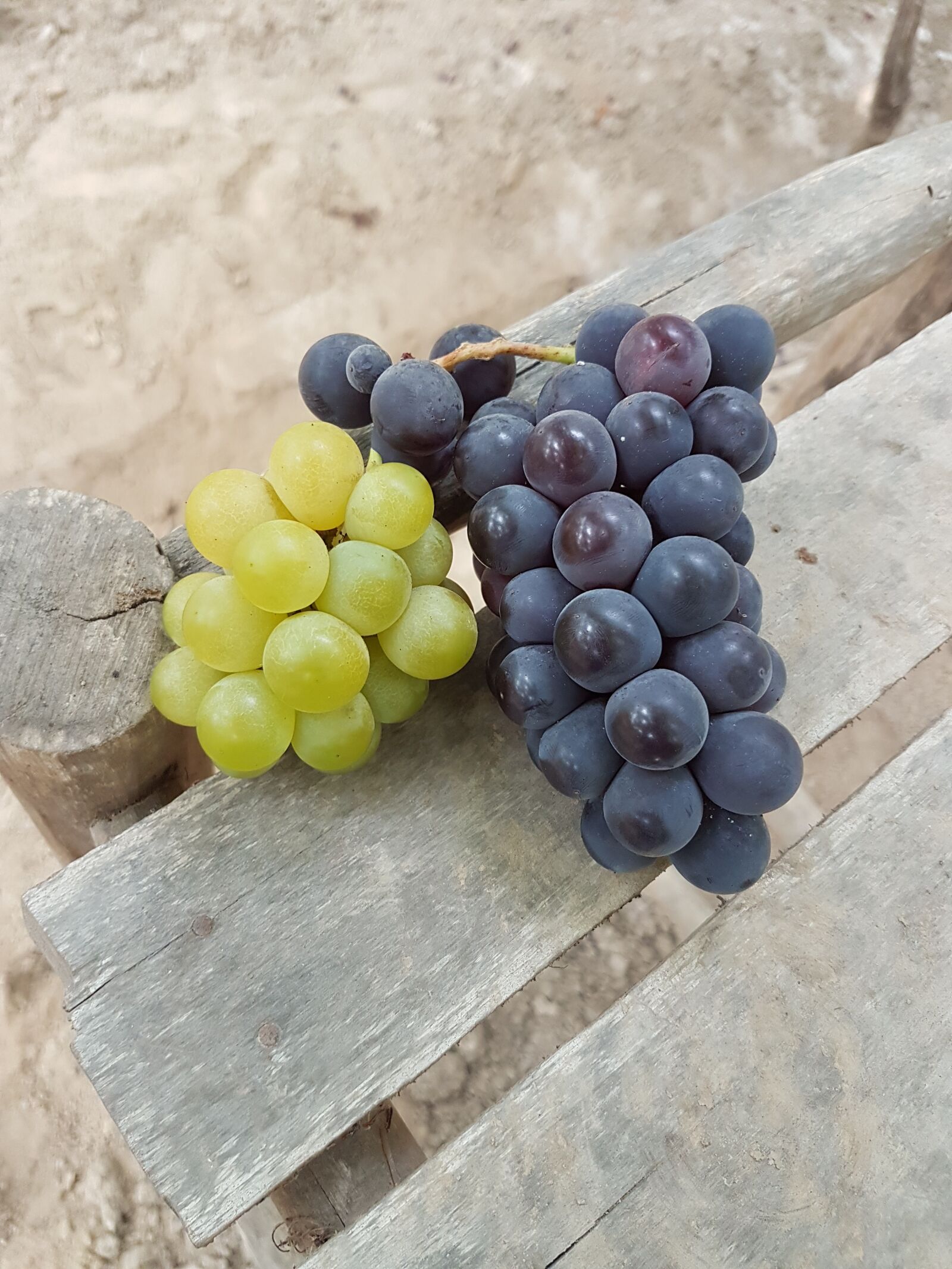 Samsung Galaxy S7 Edge sample photo. Uva, borgo a negra photography