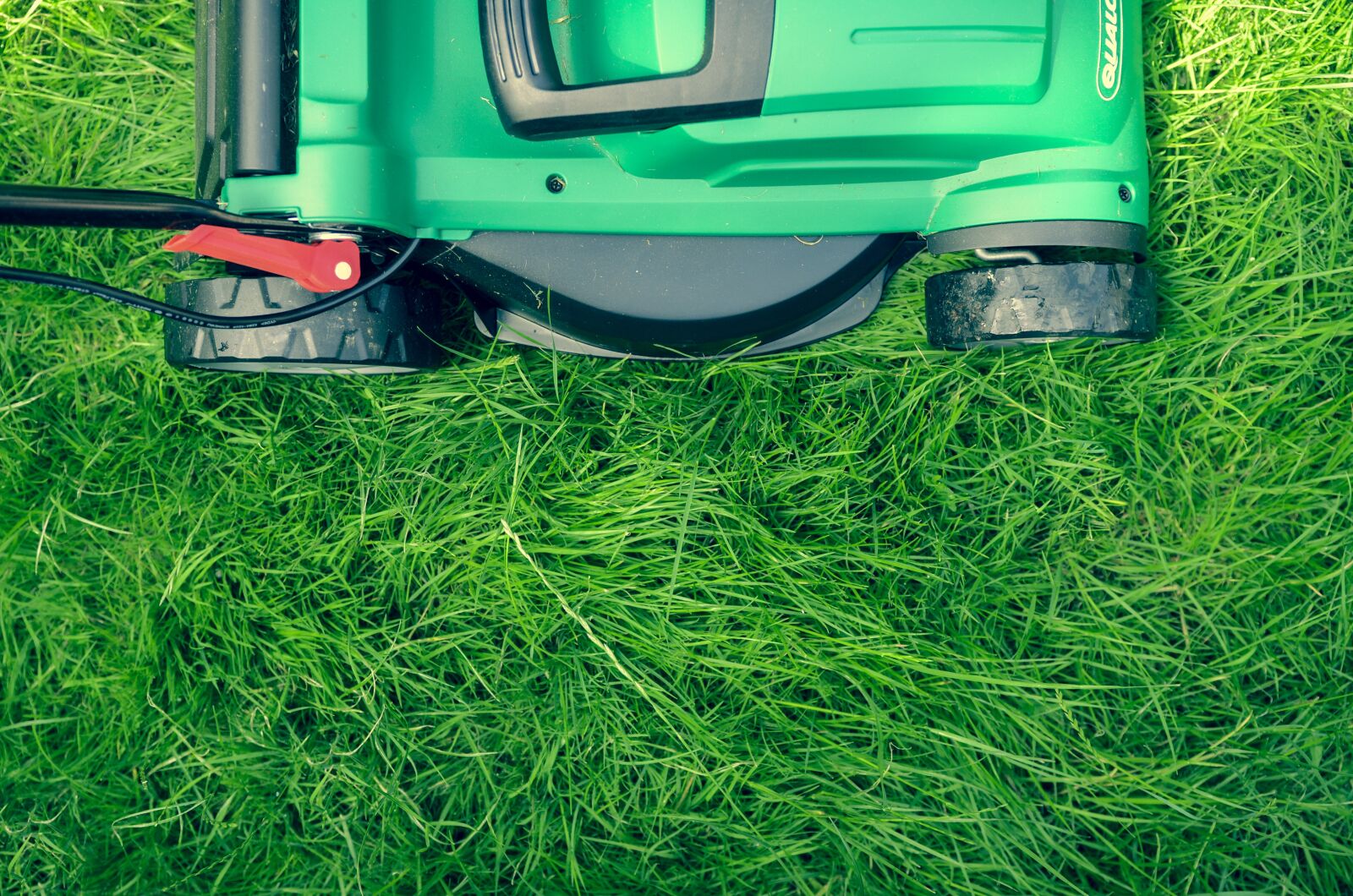 Nikon D7000 sample photo. Grass, green, lawn photography