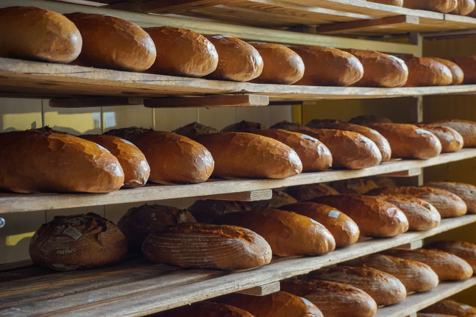 Sony a6000 sample photo. Bread, a loaf of photography