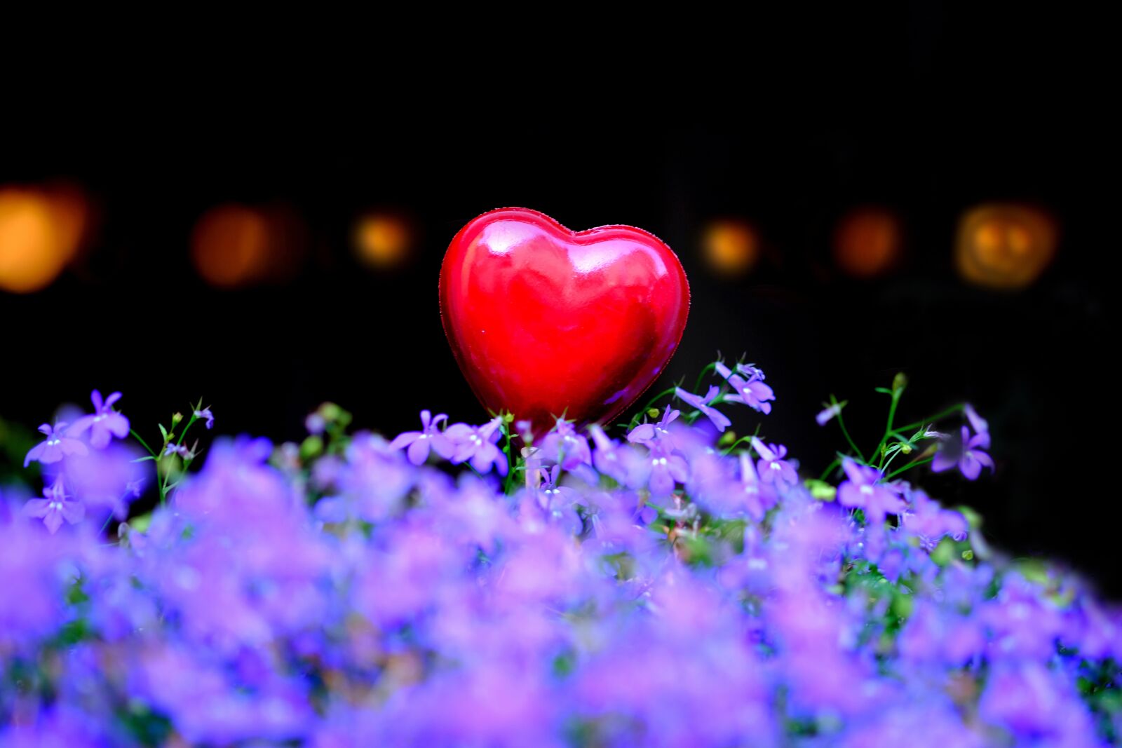 Fujifilm X-T20 sample photo. Heart, red, love photography