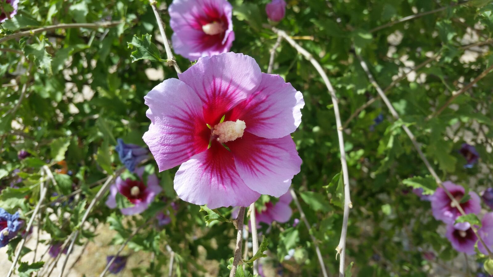 Samsung Galaxy S5 sample photo. View, spain, landscape photography