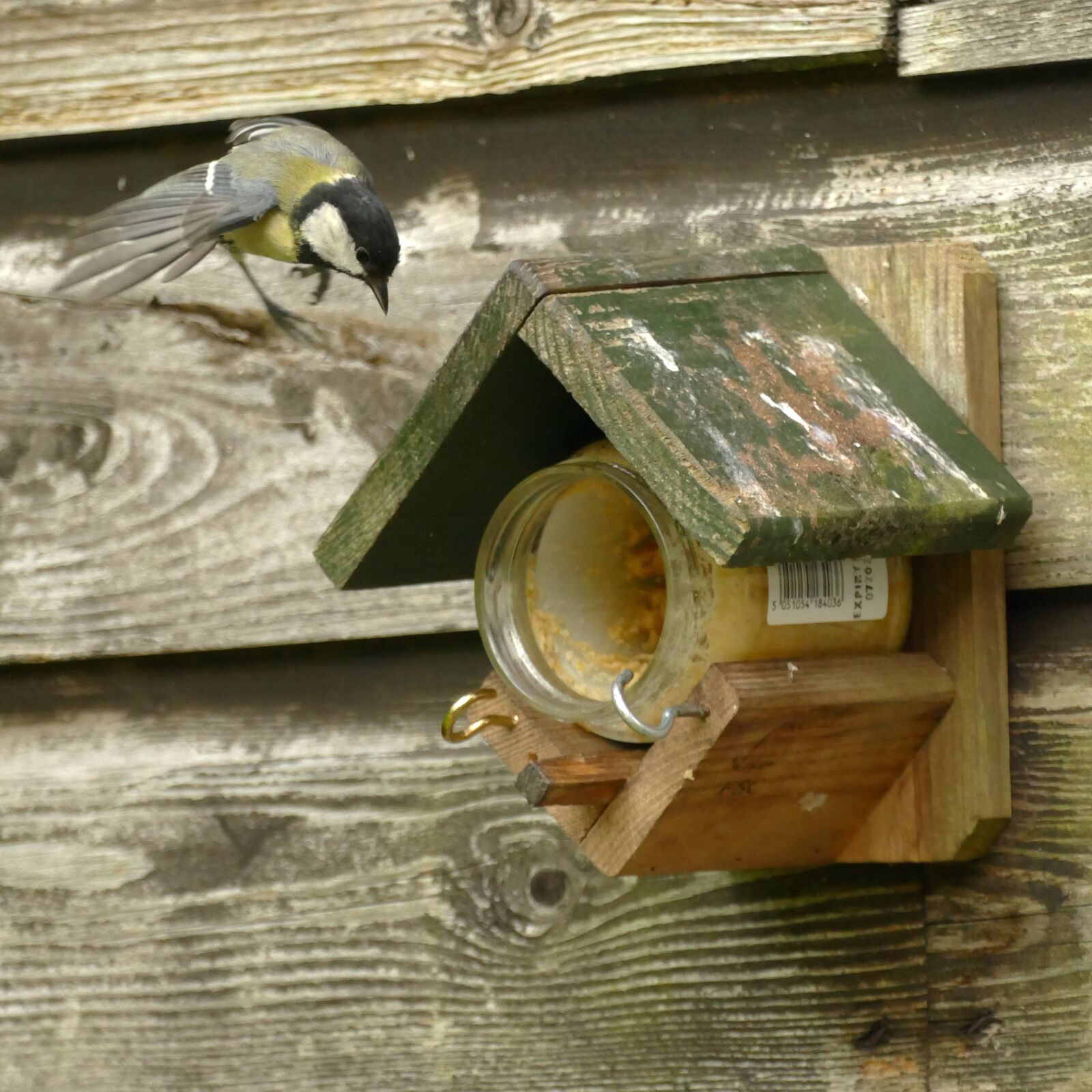 Panasonic Lumix DMC-FZ1000 sample photo. Great tit, bird, fauna photography