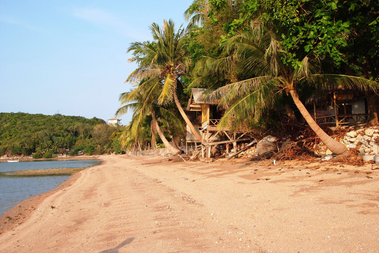 Nikon D3000 sample photo. Beach, palm trees, beach photography