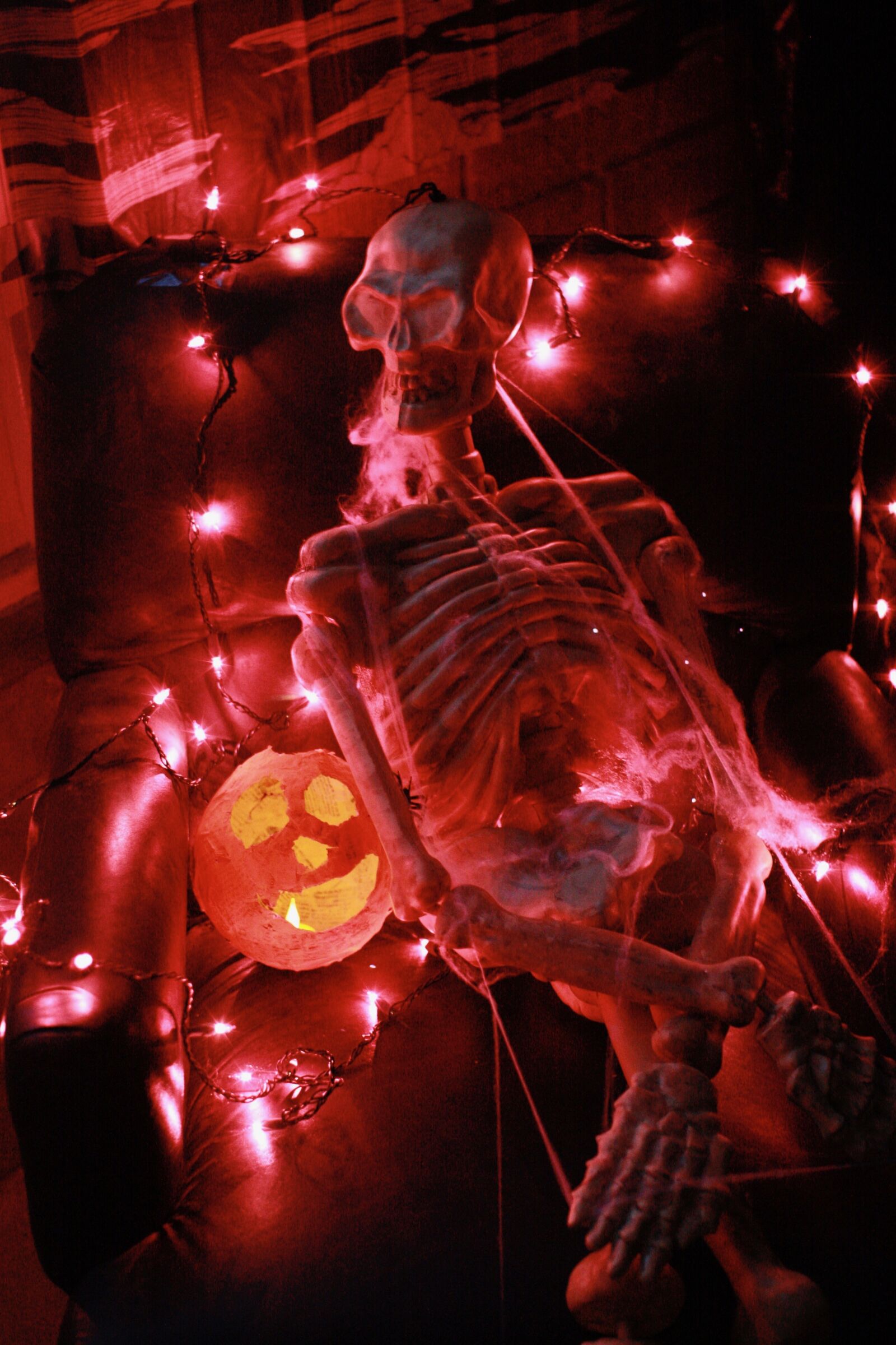 Canon EOS 450D (EOS Rebel XSi / EOS Kiss X2) sample photo. Haunted house, halloween, skeleton photography