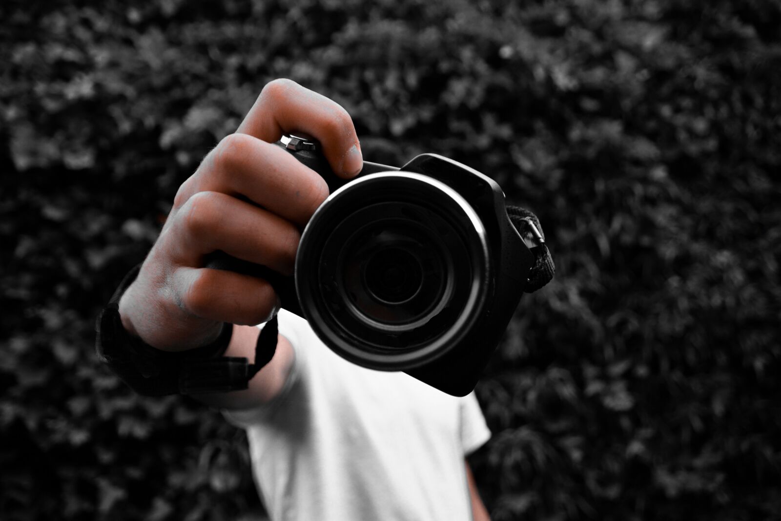 Nikon D5200 sample photo. Cámara, fotografa, lente photography