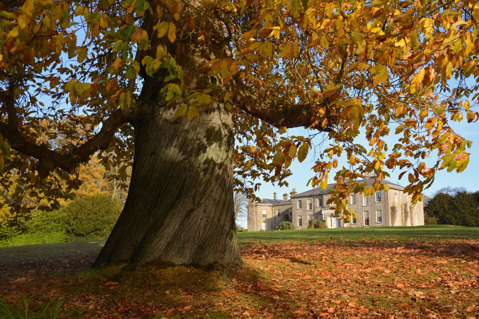 Nikon D5200 sample photo. Argory, armagh, irish photography