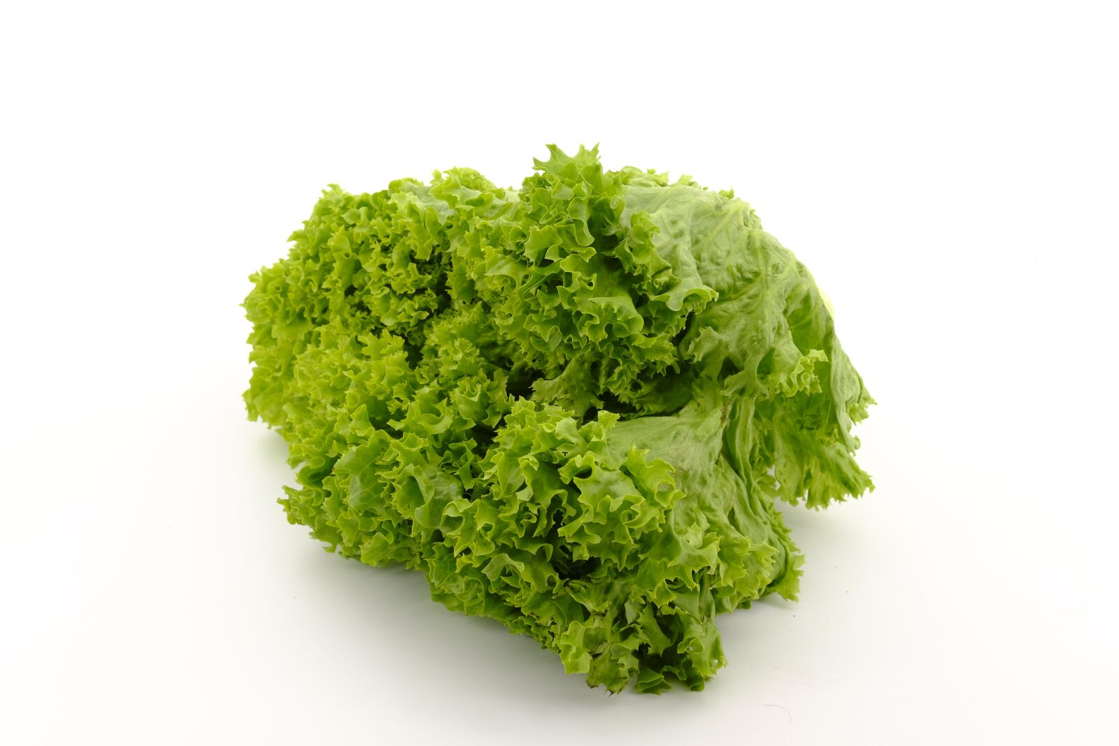 Fujifilm X-T2 + Fujifilm XF 35mm F2 R WR sample photo. Salad, leaf lettuce, lettuce photography