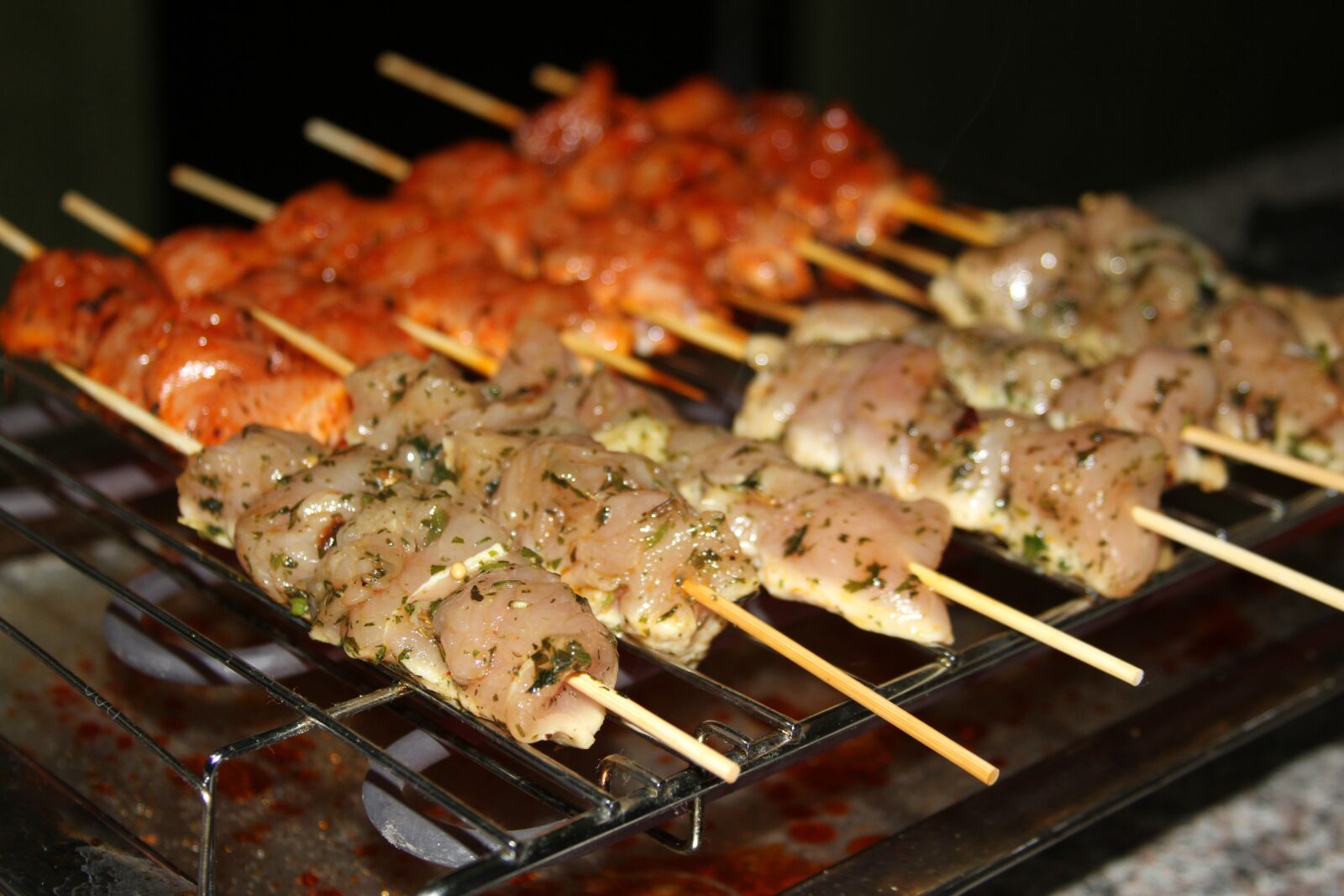 Canon EOS 7D sample photo. Barbecue, skewer, marinade photography