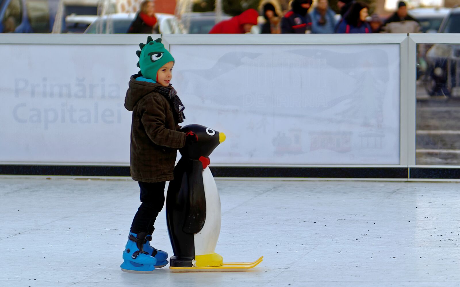 Nikon D5300 sample photo. Child, the rink, supported photography