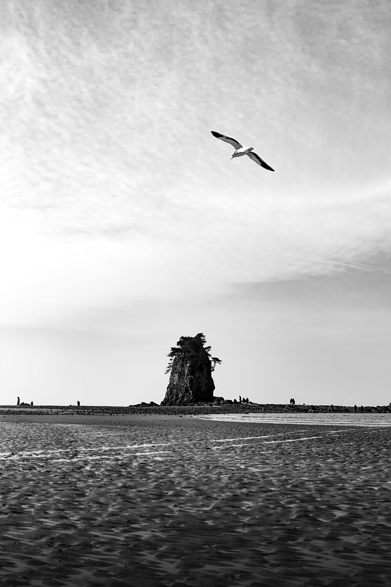 Canon EF 16-35mm F4L IS USM sample photo. Island, seagull, sea photography
