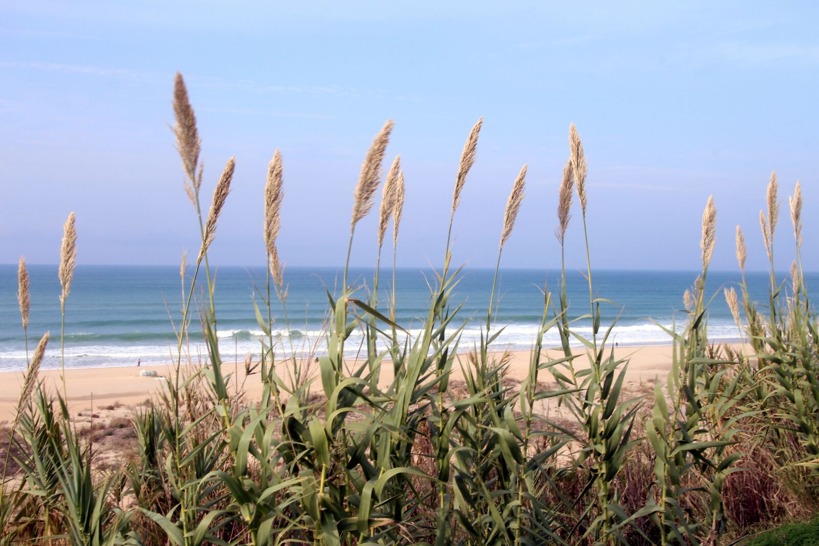 Canon EOS 700D (EOS Rebel T5i / EOS Kiss X7i) sample photo. Beach, dunes, sea photography