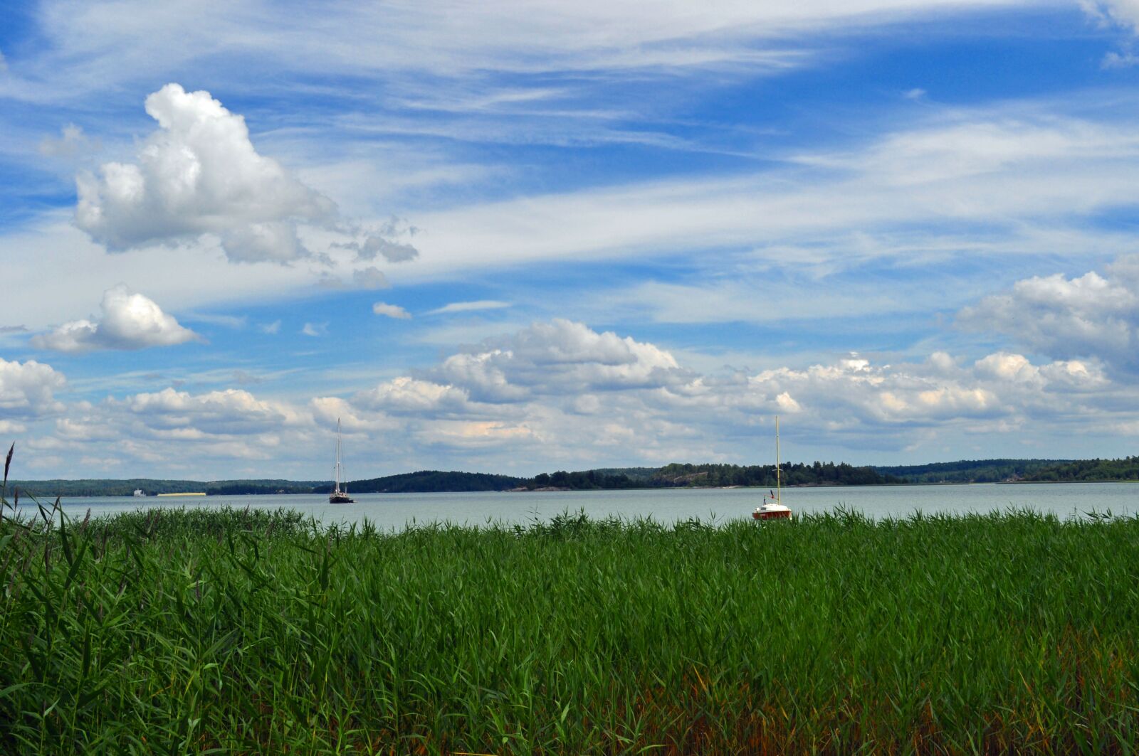 Nikon D5000 sample photo. Grass, cloud, summer photography