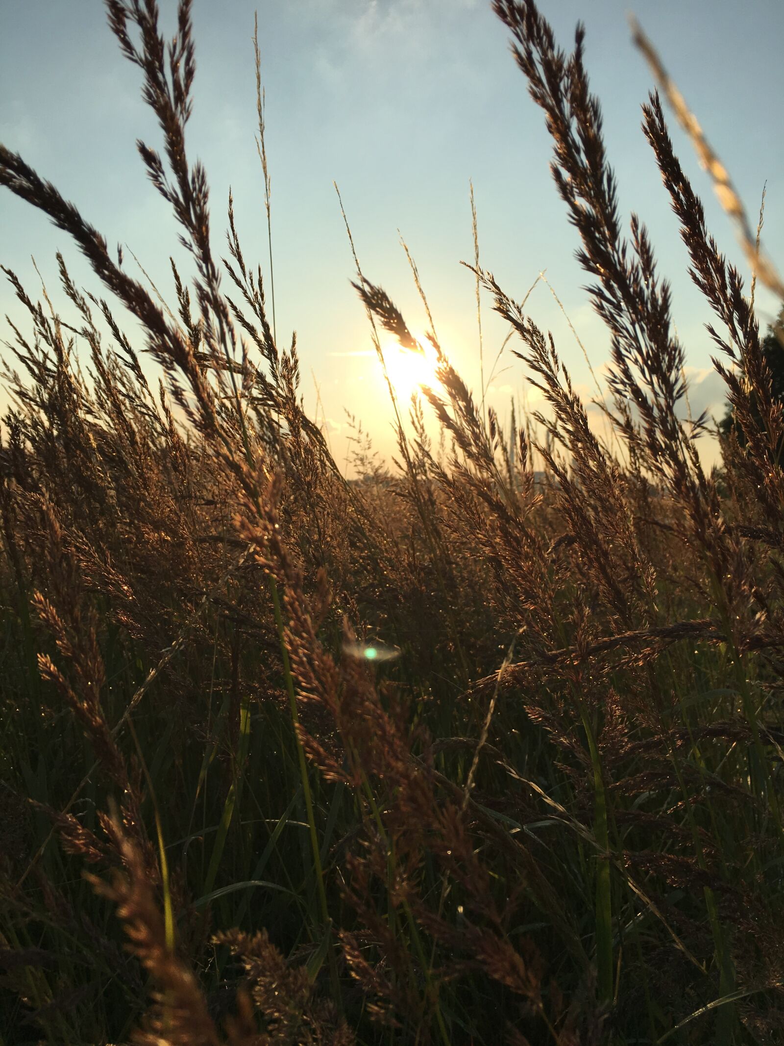 Apple iPhone 6s sample photo. The sun, sky, clouds photography