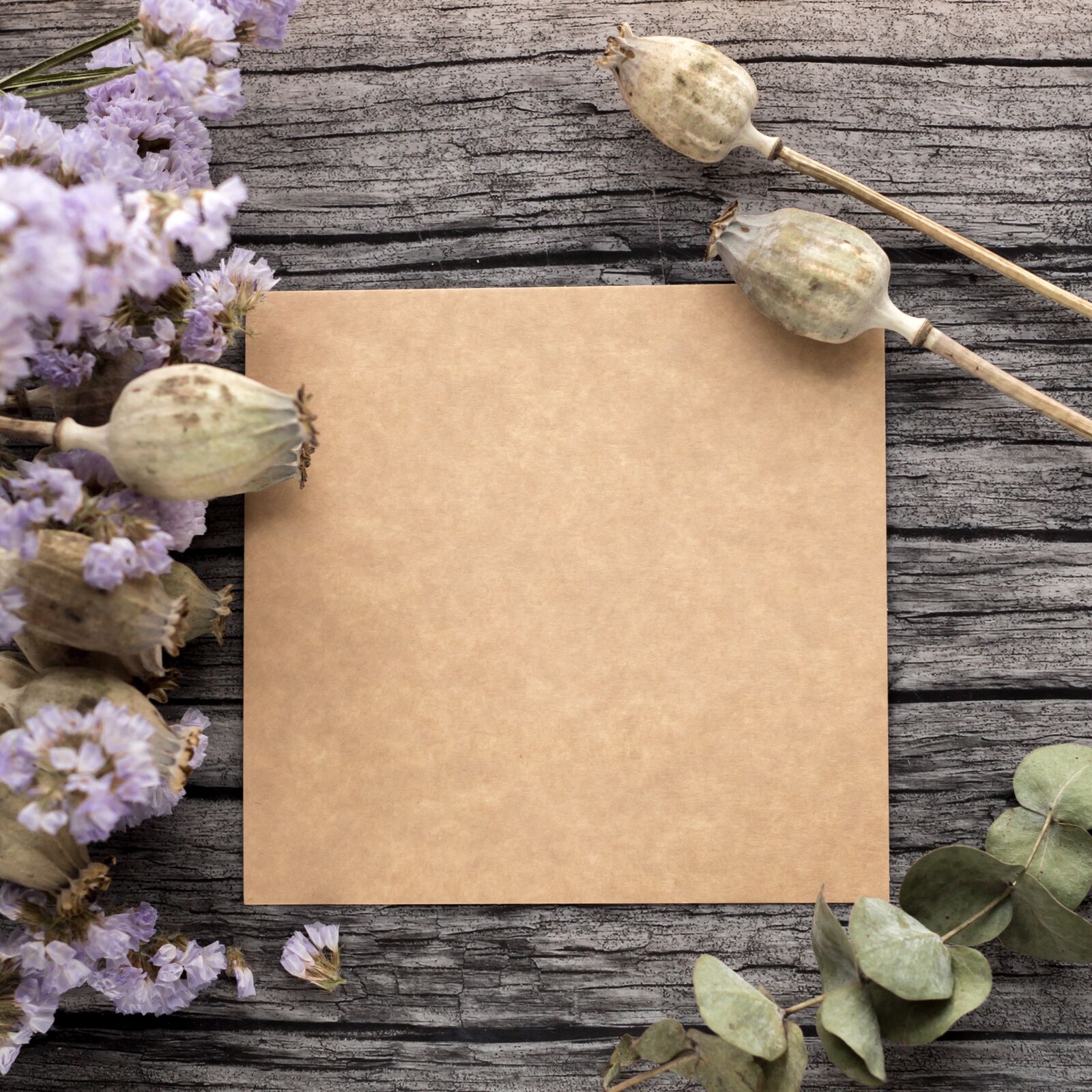Canon EOS 700D (EOS Rebel T5i / EOS Kiss X7i) + Canon EF 50mm F1.8 STM sample photo. Template, letter, kraft photography