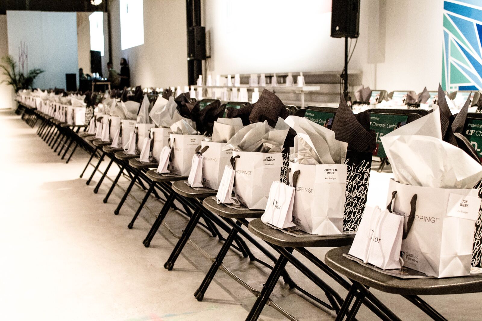 Canon EOS 1100D (EOS Rebel T3 / EOS Kiss X50) sample photo. Dior, runway, giveaway photography