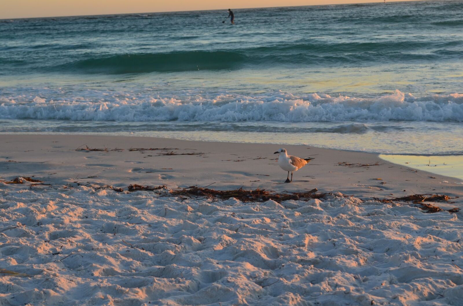 Nikon D5100 sample photo. Beach photography