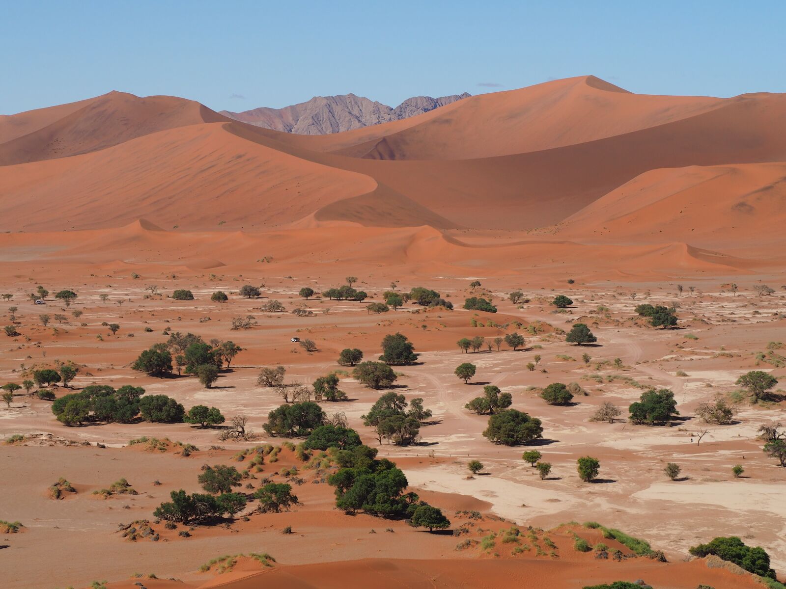 Olympus OM-D E-M10 sample photo. Namibia, sossusvlei, desert photography