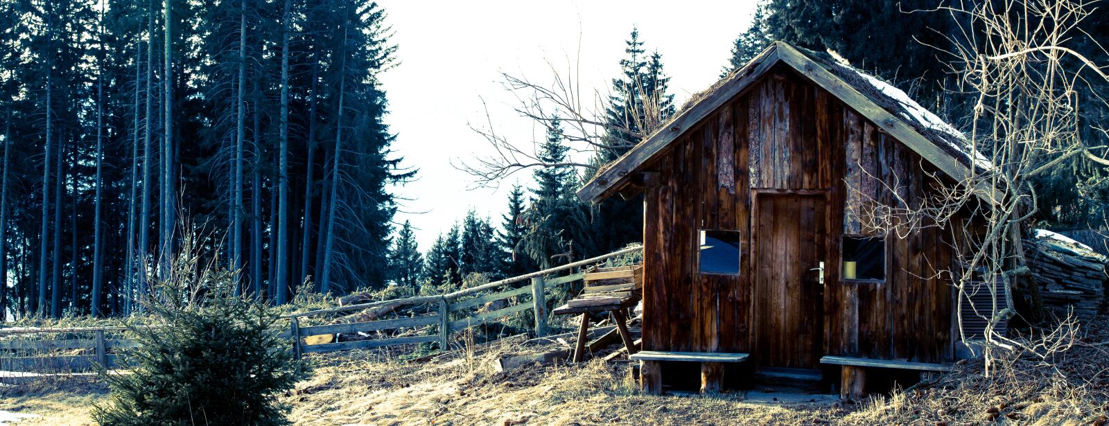 Canon EF 24-105mm F4L IS USM sample photo. Wood, hut, forest photography