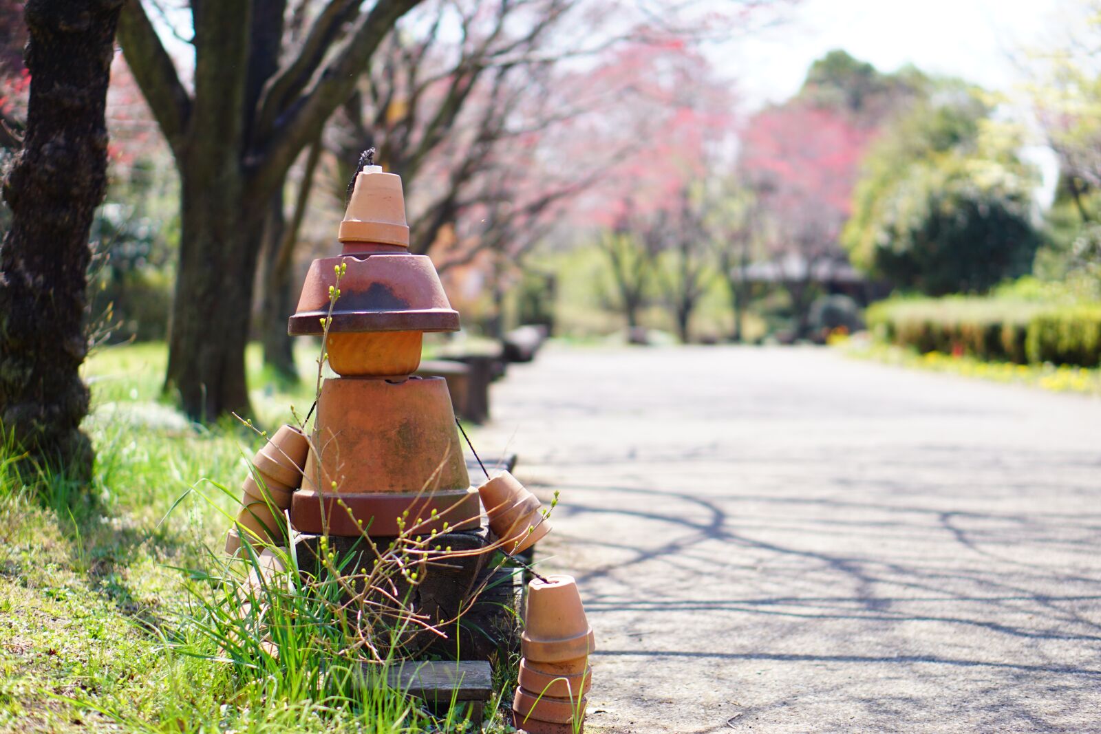 E 50mm F1.8 OSS sample photo. Doll, center, first photography
